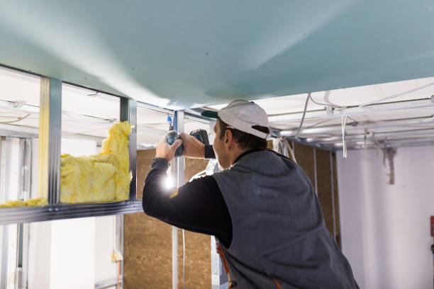 Best Residential Insulation in Park Falls, WI