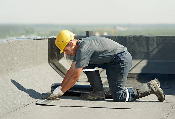 Best Specialty Insulation in Park Falls, WI